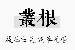 丛根名字的寓意及含义