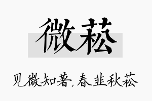 微菘名字的寓意及含义