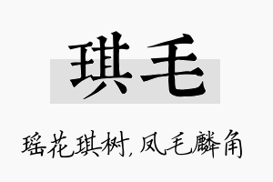 琪毛名字的寓意及含义