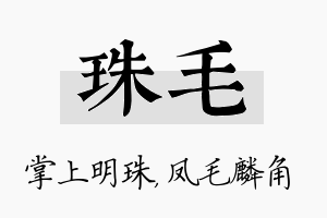 珠毛名字的寓意及含义