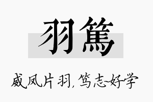 羽笃名字的寓意及含义