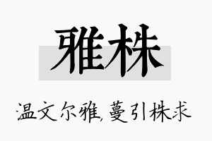 雅株名字的寓意及含义