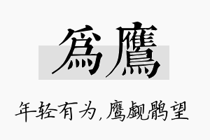 为鹰名字的寓意及含义