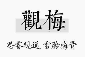 观梅名字的寓意及含义