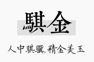 骐金名字的寓意及含义