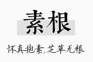 素根名字的寓意及含义