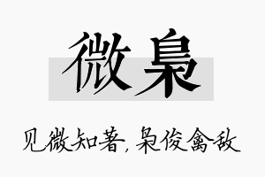 微枭名字的寓意及含义