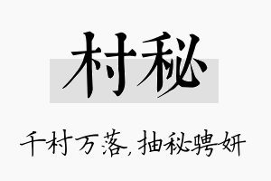 村秘名字的寓意及含义