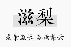 滋梨名字的寓意及含义