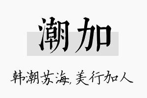 潮加名字的寓意及含义