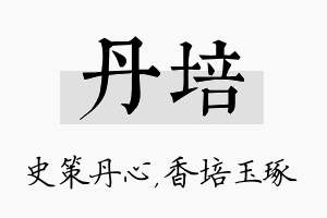 丹培名字的寓意及含义