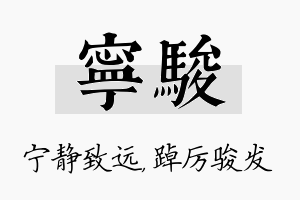 宁骏名字的寓意及含义