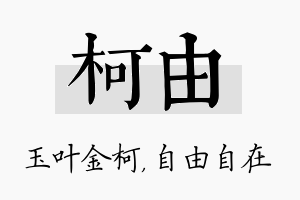 柯由名字的寓意及含义