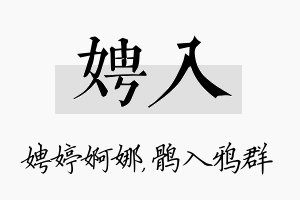 娉入名字的寓意及含义