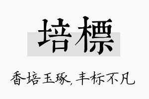 培标名字的寓意及含义