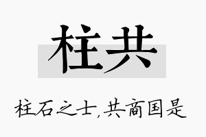 柱共名字的寓意及含义