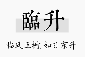 临升名字的寓意及含义