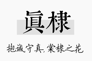 真棣名字的寓意及含义