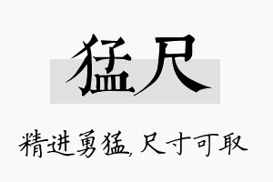 猛尺名字的寓意及含义