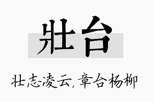 壮台名字的寓意及含义