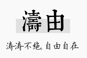 涛由名字的寓意及含义