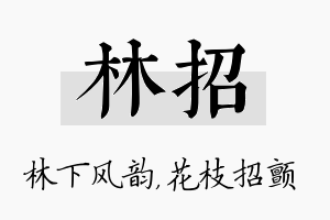 林招名字的寓意及含义