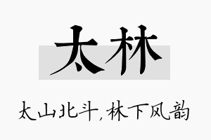 太林名字的寓意及含义