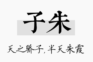 子朱名字的寓意及含义