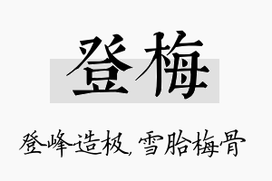 登梅名字的寓意及含义