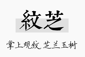 纹芝名字的寓意及含义