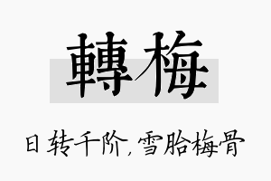 转梅名字的寓意及含义