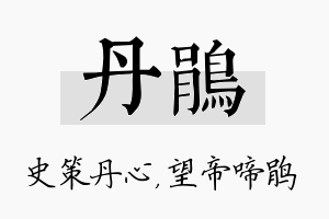 丹鹃名字的寓意及含义