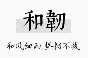 和韧名字的寓意及含义