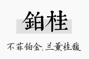 铂桂名字的寓意及含义