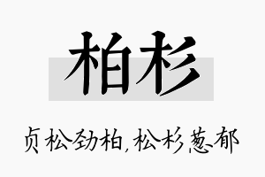 柏杉名字的寓意及含义