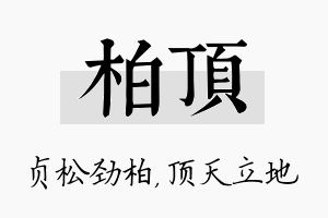 柏顶名字的寓意及含义