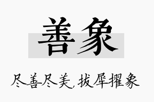 善象名字的寓意及含义