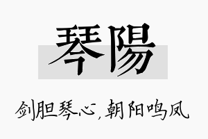 琴阳名字的寓意及含义