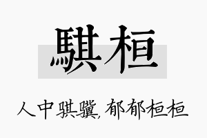 骐桓名字的寓意及含义