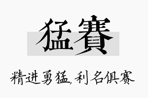 猛赛名字的寓意及含义