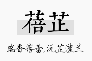 蓓芷名字的寓意及含义