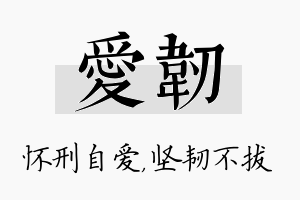 爱韧名字的寓意及含义