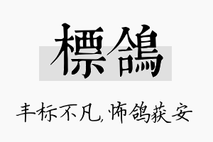 标鸽名字的寓意及含义