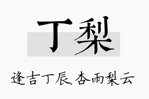 丁梨名字的寓意及含义