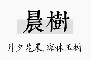 晨树名字的寓意及含义