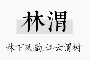 林渭名字的寓意及含义