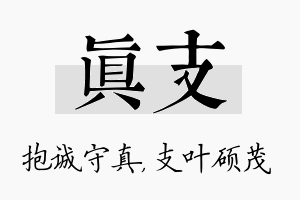 真支名字的寓意及含义