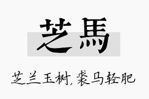 芝马名字的寓意及含义