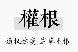 权根名字的寓意及含义