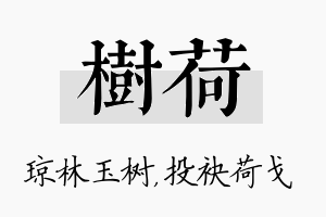 树荷名字的寓意及含义